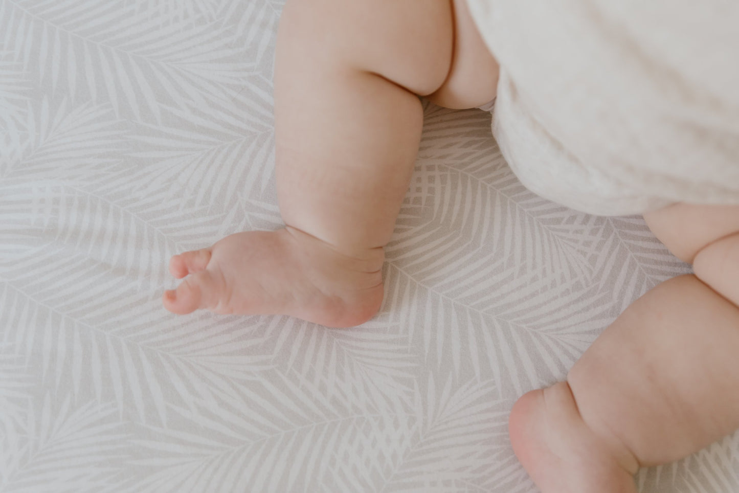 Cotton Jersey Cot Sheet - Palm Breeze
