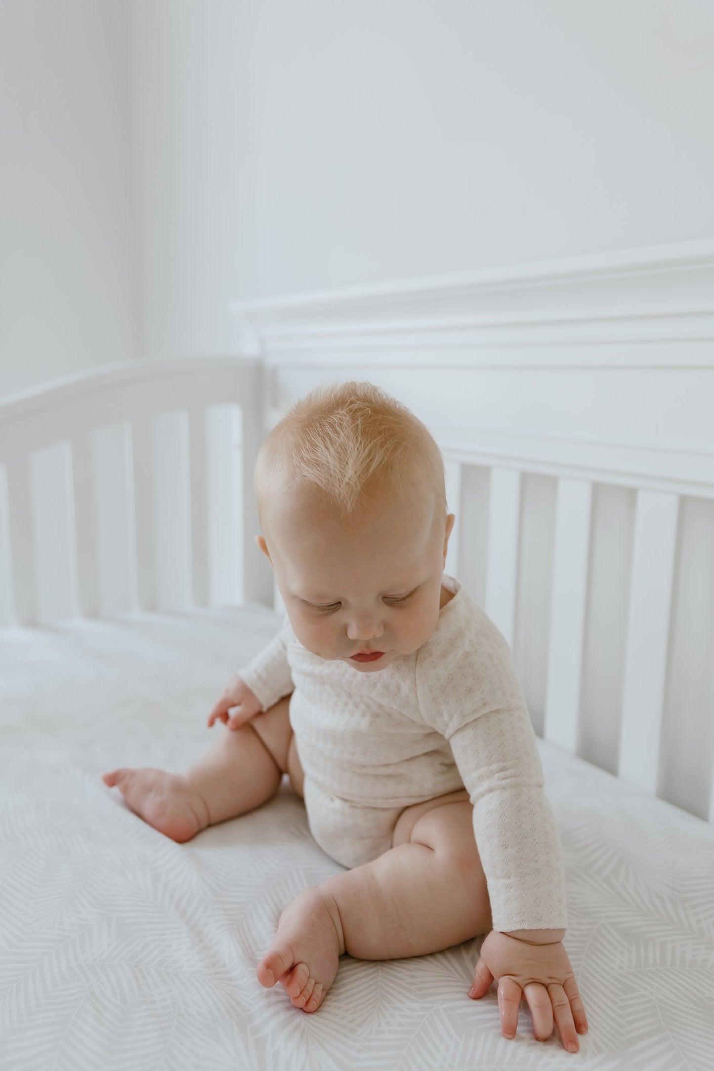 Cotton Jersey Cot Sheet - Palm Breeze