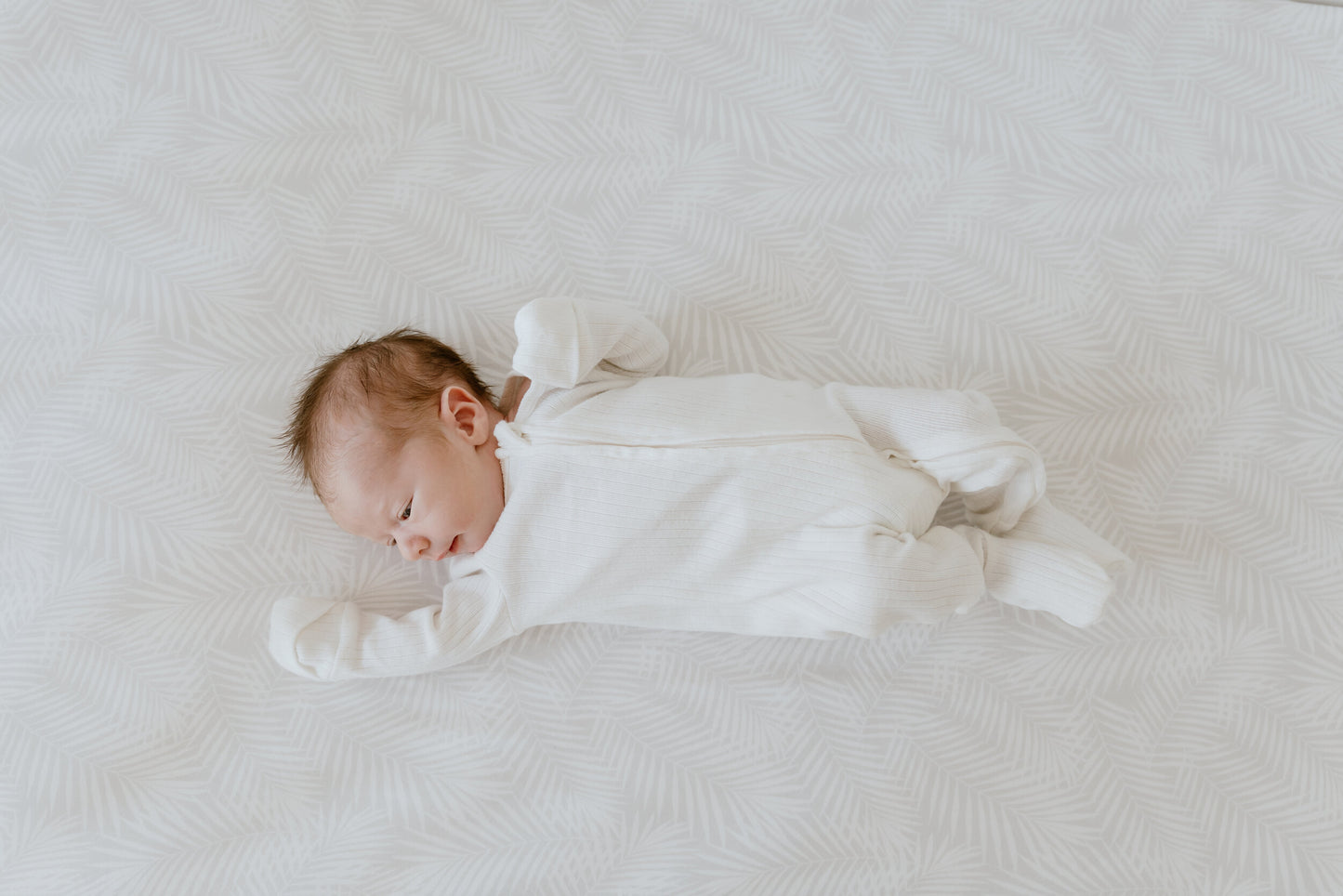 Cotton Jersey Cot Sheet - Palm Breeze