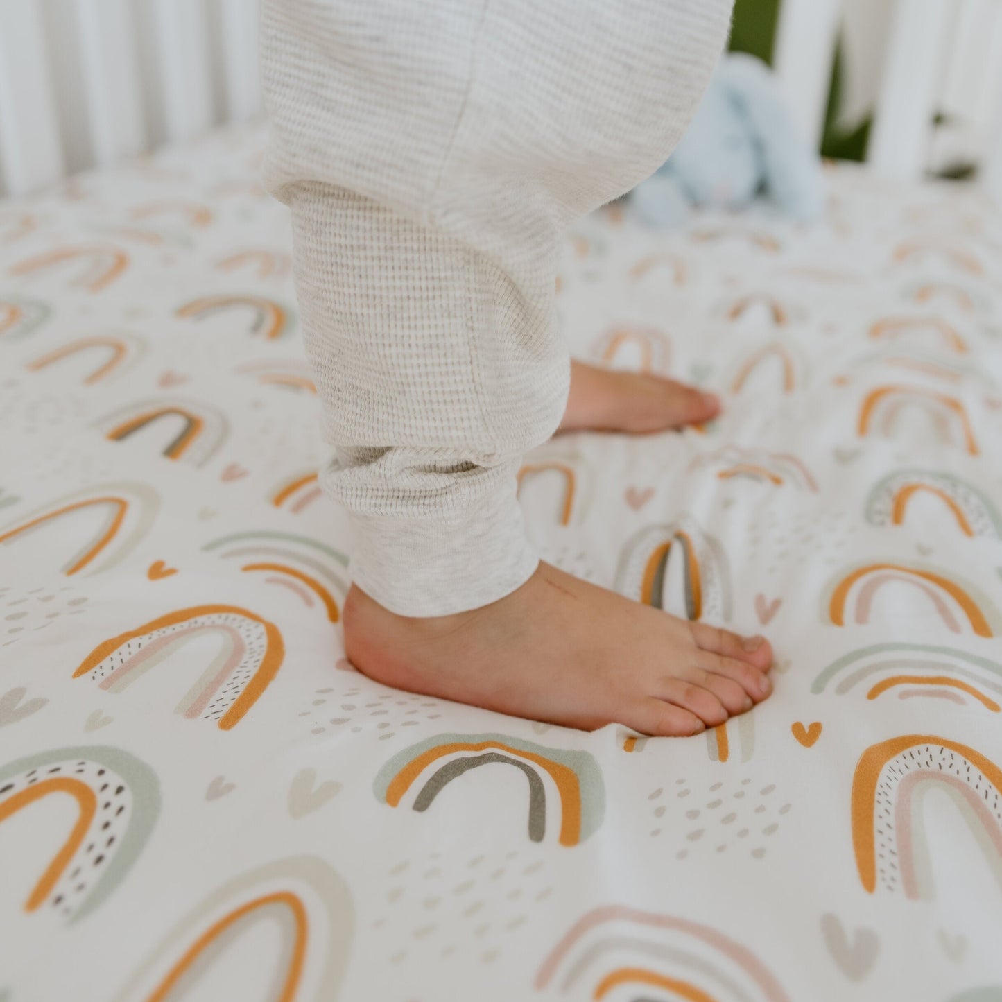 Cotton Jersey Cot Sheet - Rainbow